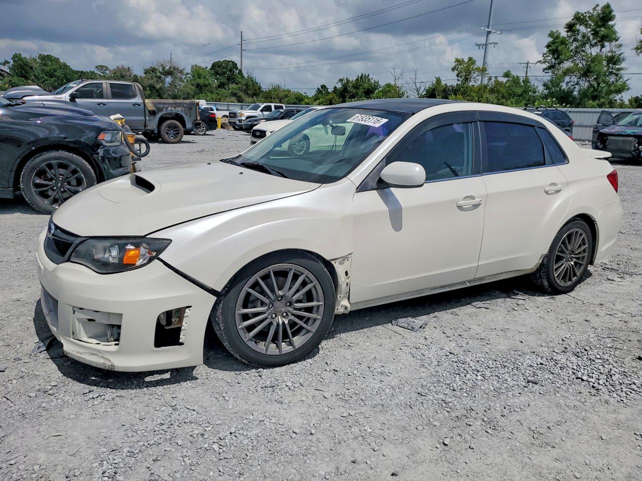 2013 Subaru Impreza Wrx White vin: JF1GV7F64DG012112