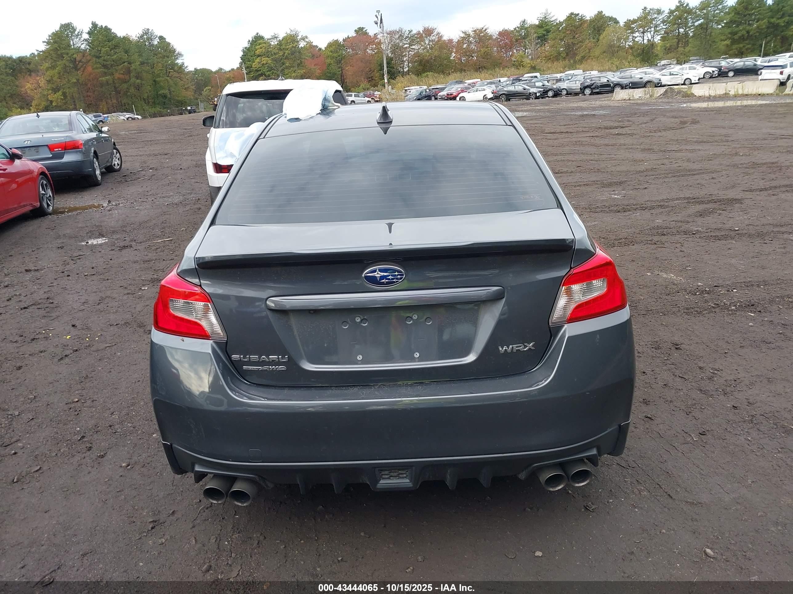2021 Subaru Wrx Premium Серый vin: JF1VA1C60M9818280