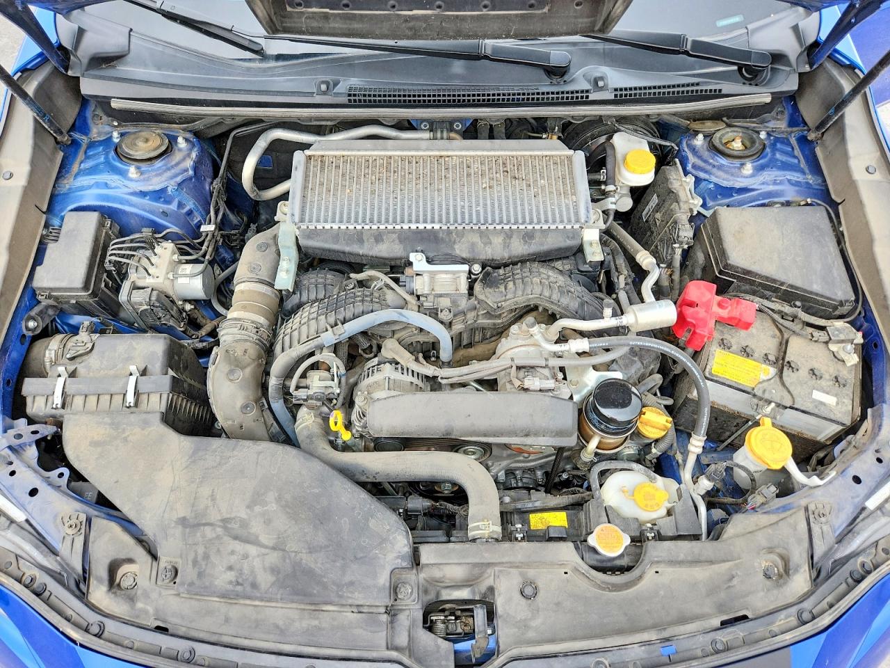 2023 Subaru Wrx Premium Blue vin: JF1VBAF61P9819578