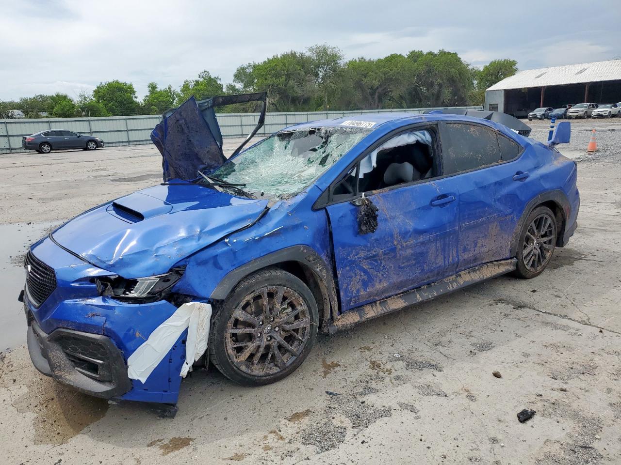 2024 Subaru Wrx Premium Синий vin: JF1VBAH61R9814798