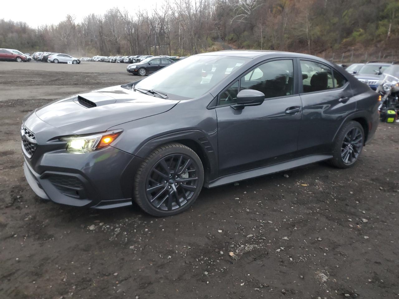 2024 Subaru Wrx Premium Gray vin: JF1VBAH64R9819090