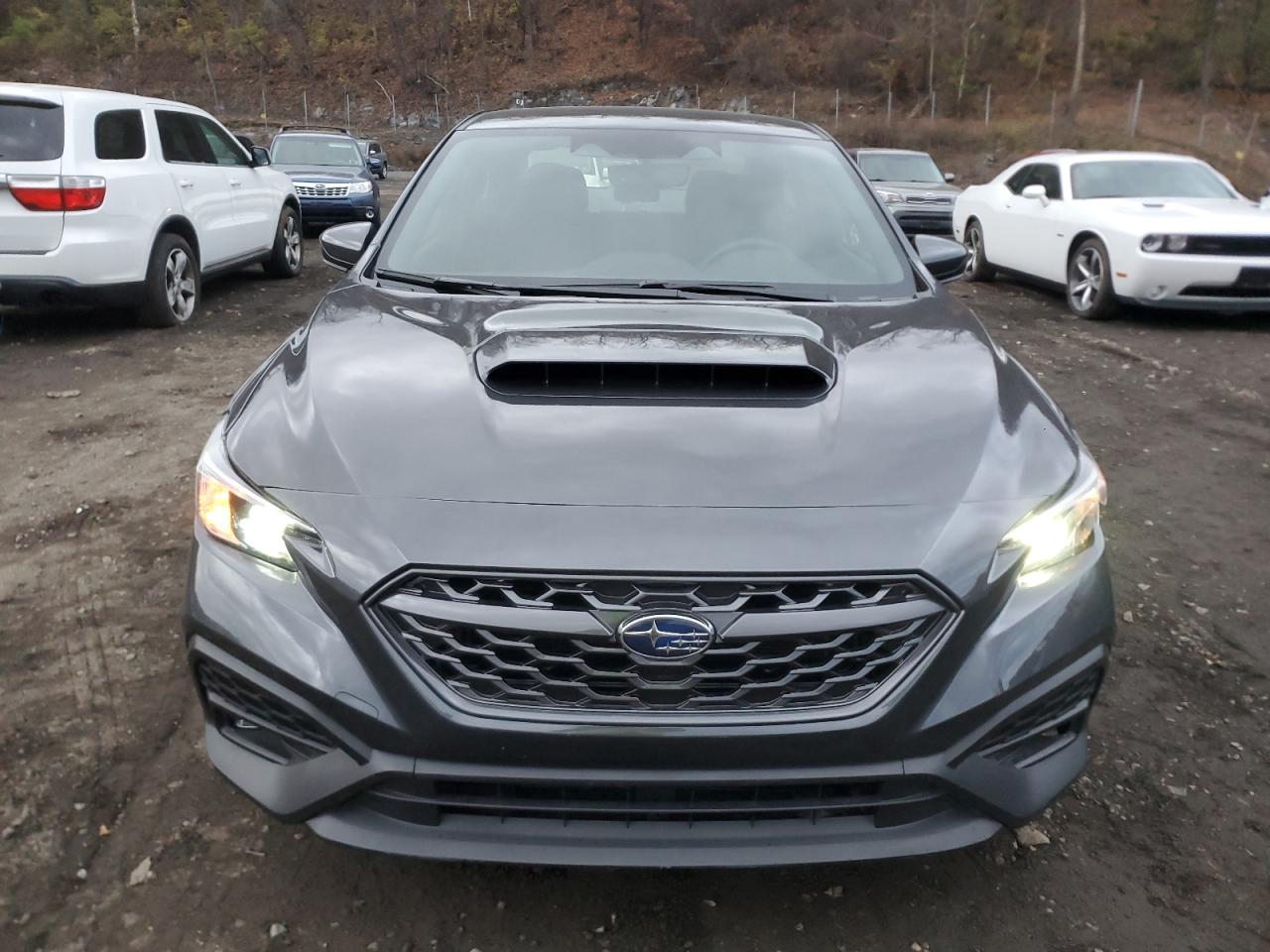 2024 Subaru Wrx Premium Gray vin: JF1VBAH64R9819090