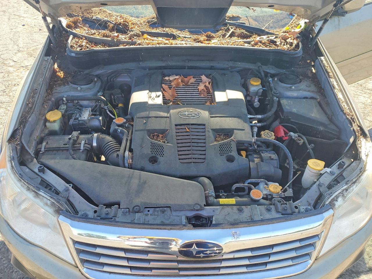 2009 Subaru Forester 2.5xt Tan vin: JF2SH65659H714126