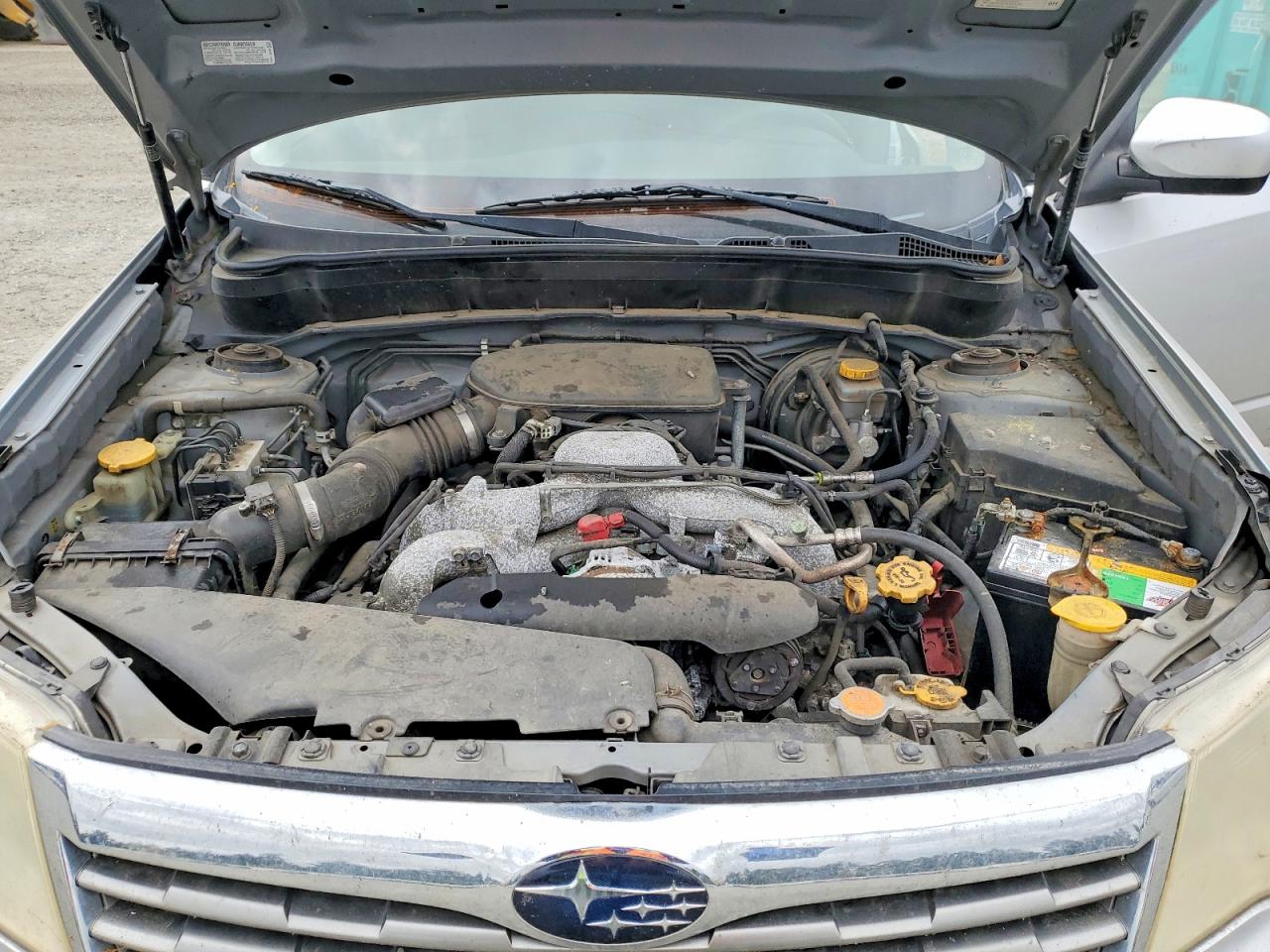 2010 Subaru Forester Silver vin: JF2SH6CC7AH720992