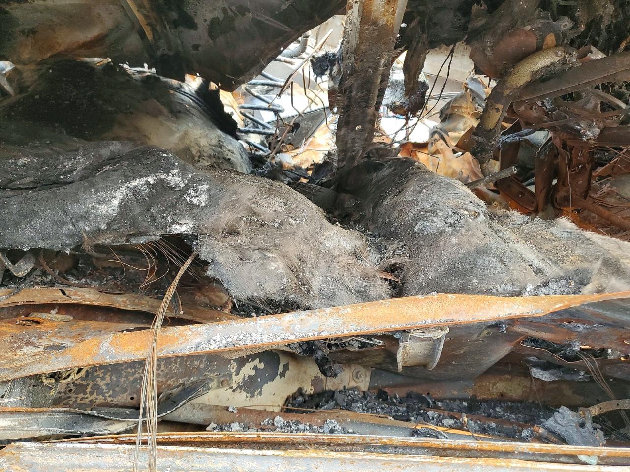 2013 Subaru Forester 2.5x Burn vin: JF2SHAAC7DH438538