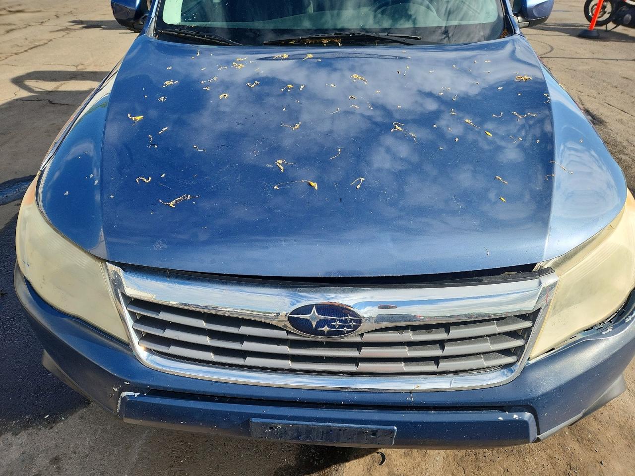 2012 Subaru Forester 2.5x Premium Blue vin: JF2SHADC6CH430859