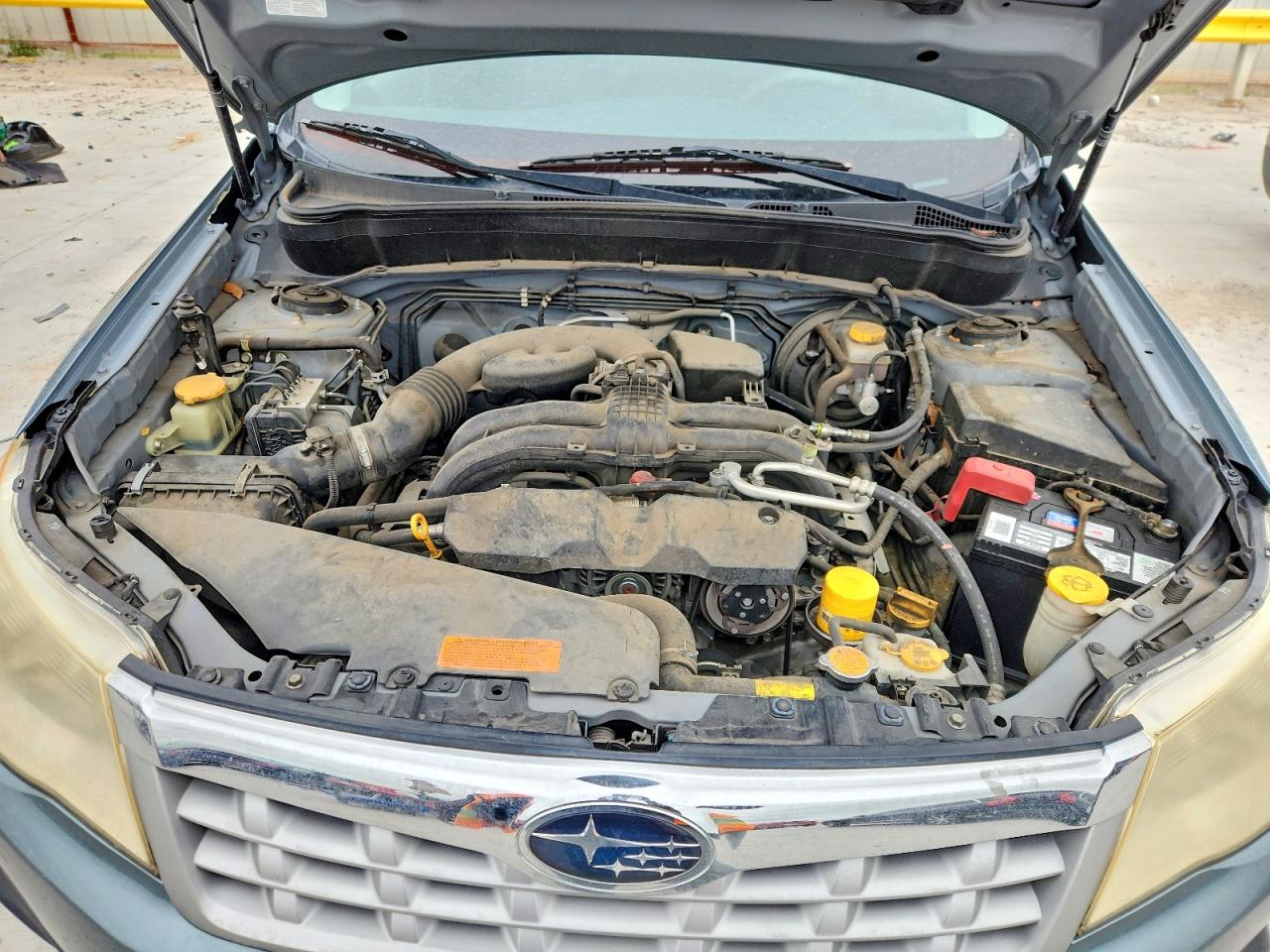 2013 Subaru Forester Limited Green vin: JF2SHAFC7DH424437