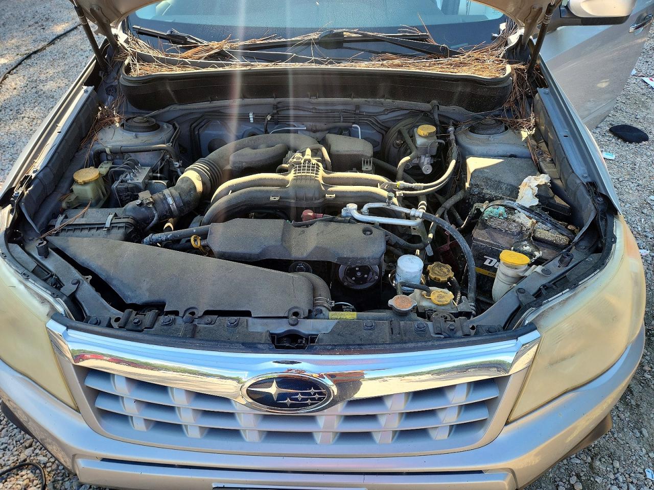 2011 Subaru Forester Limited Silver vin: JF2SHBEC7BH745916