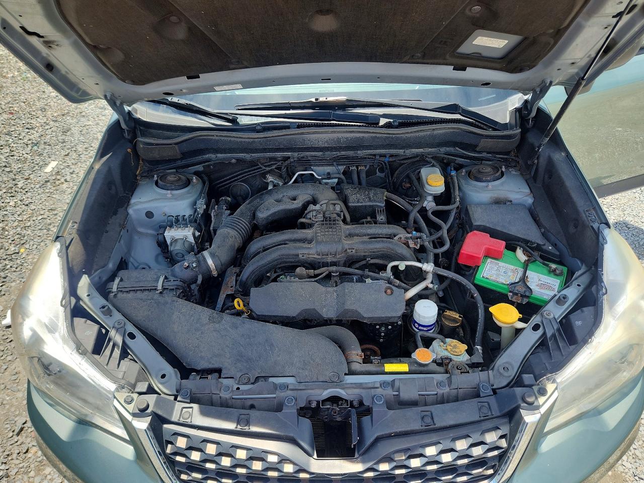 2014 Subaru Forester Green vin: JF2SJAAC5EH449902