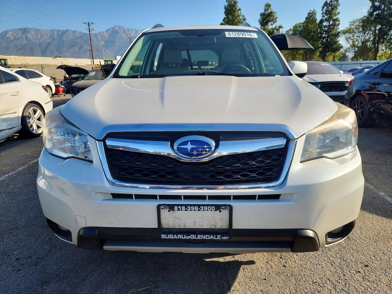 2014 Subaru Forester 2.5i Limited Белый vin: JF2SJAJC7EH539438