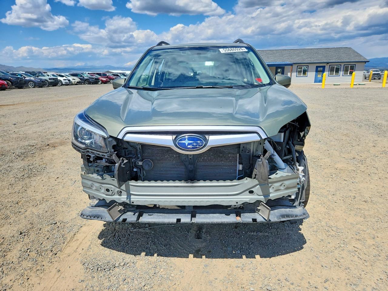 2020 Subaru Forester Premium Green vin: JF2SKAGC3LH610930