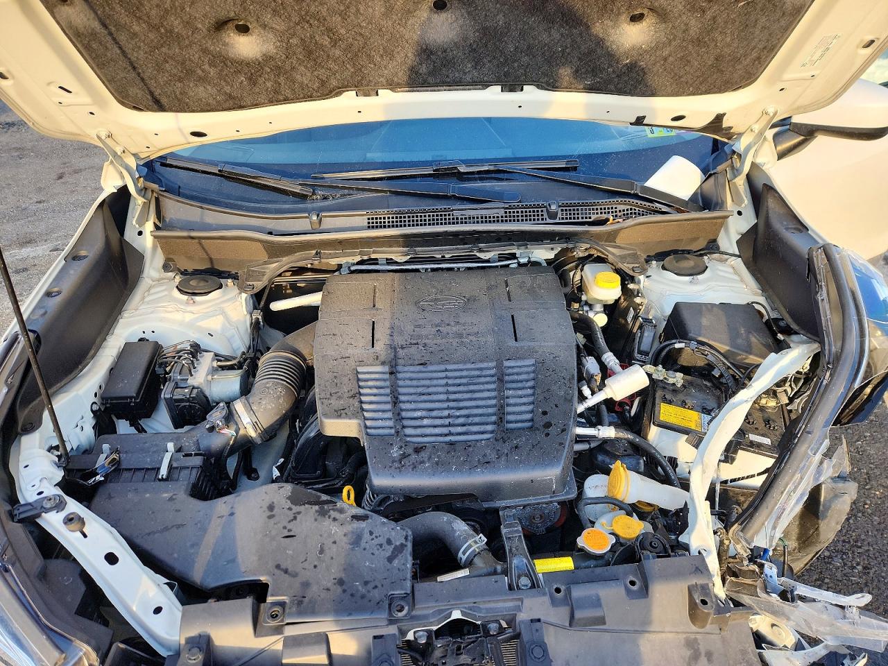 2019 Subaru Forester White vin: JF2SKAGC4KH464732