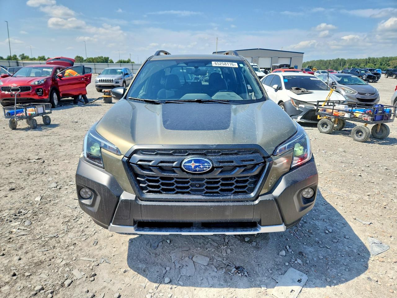 2023 Subaru Forester Wilderness Green vin: JF2SKAMC0PH502596