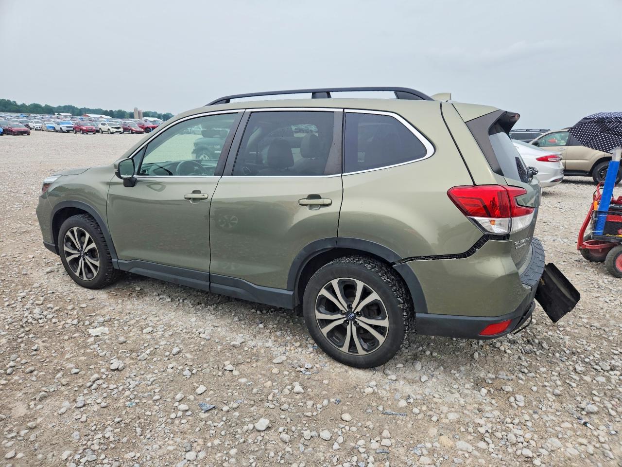 2019 Subaru Forester Limited Зеленый vin: JF2SKASC4KH550078