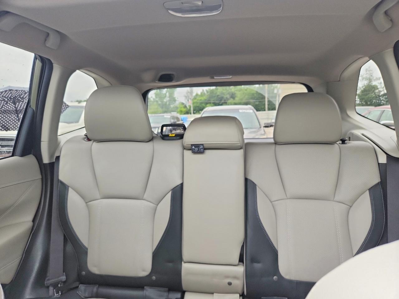 2019 Subaru Forester Limited Зеленый vin: JF2SKASC4KH550078