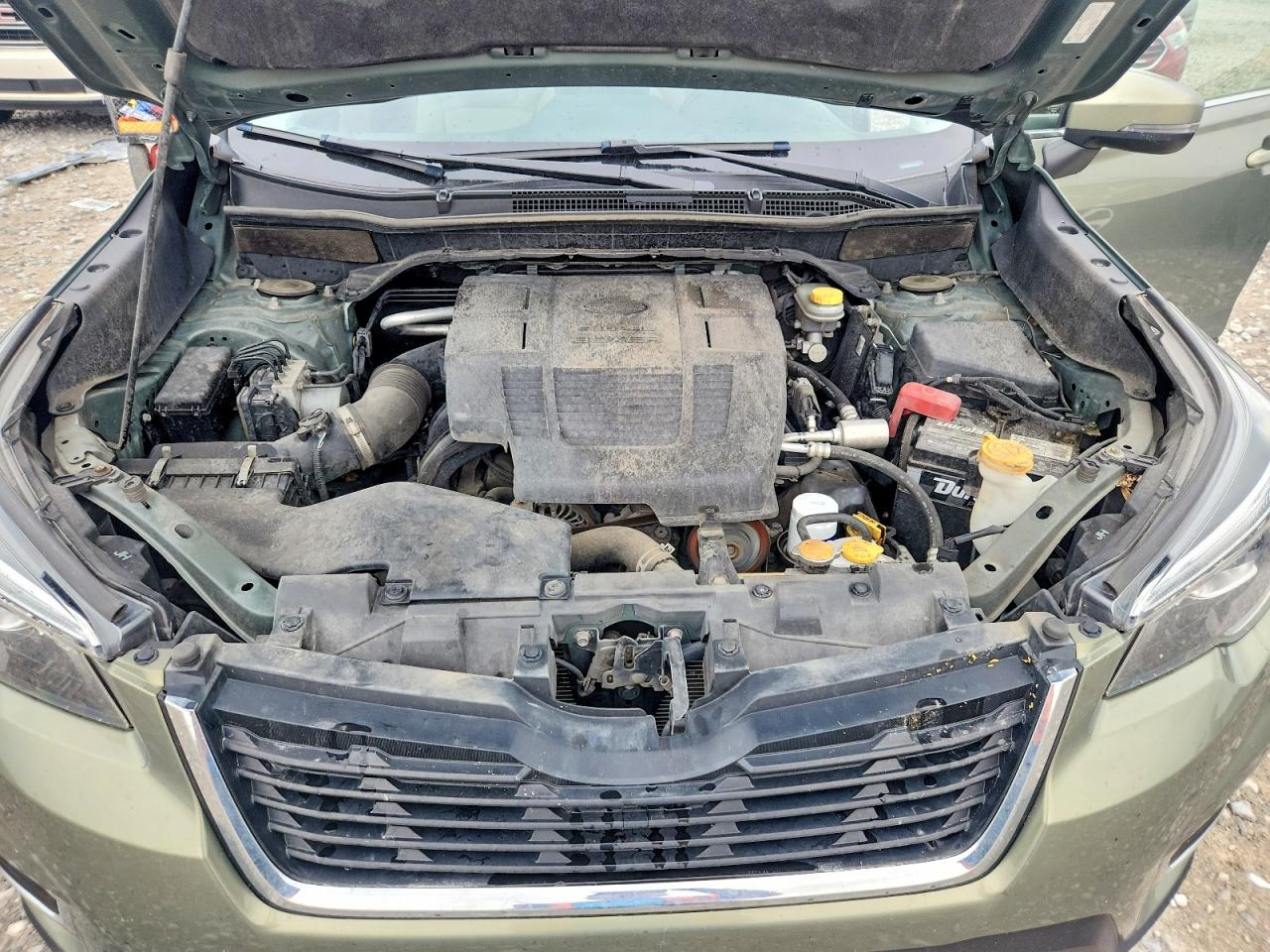 2019 Subaru Forester Limited Зеленый vin: JF2SKASC4KH550078