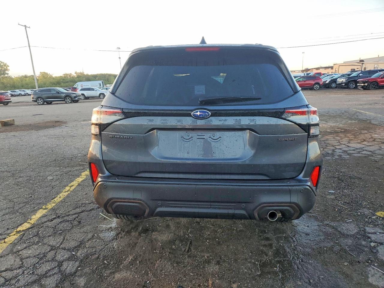 2025 Subaru Forester Sport Gray vin: JF2SLDHC3SH433825