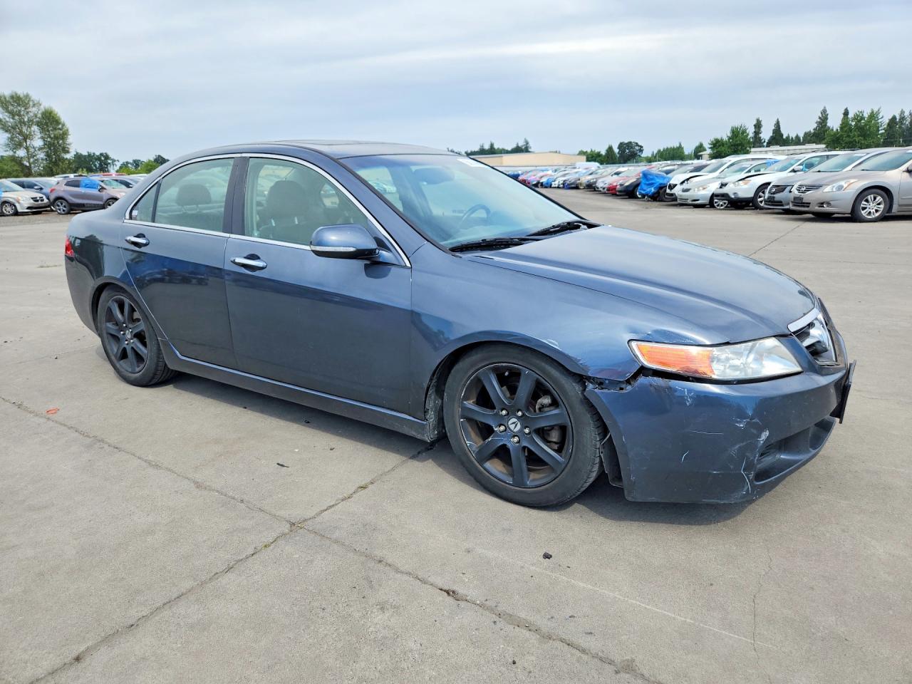 2004 Acura Tsx Gray vin: JH4CL95804C013048