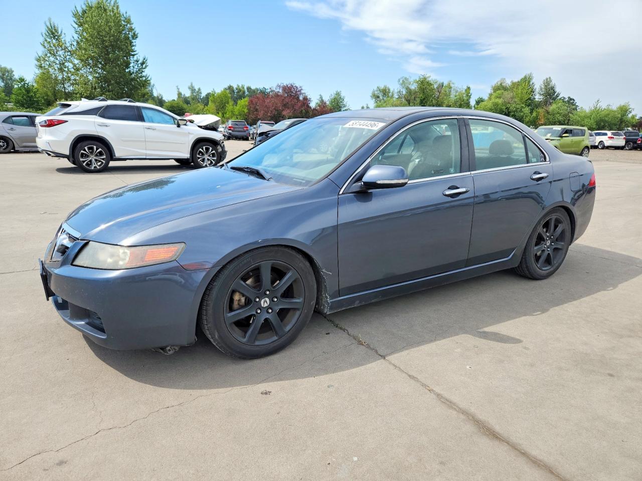2004 Acura Tsx Gray vin: JH4CL95804C013048