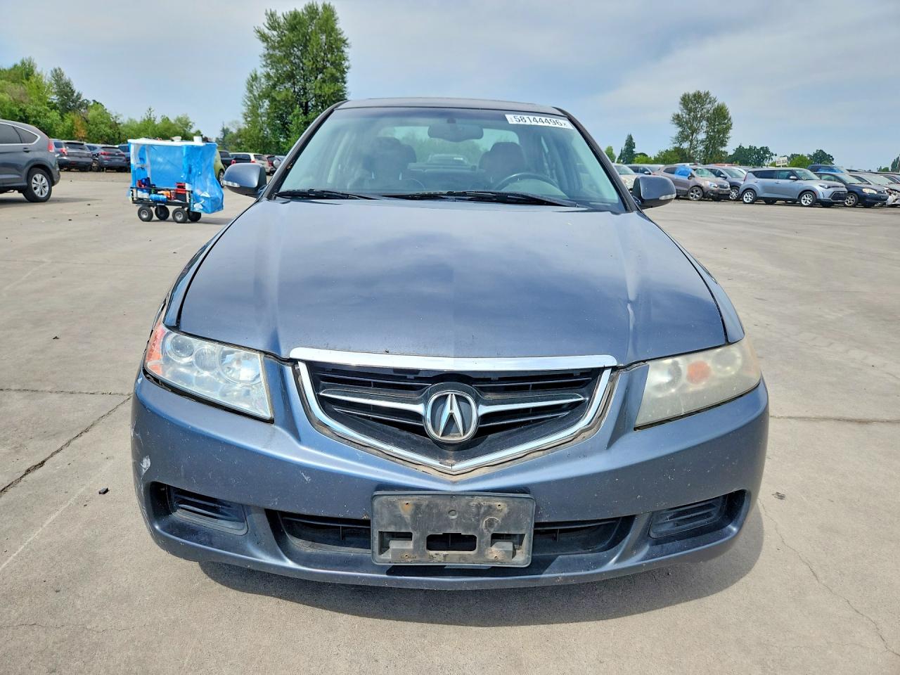 2004 Acura Tsx Gray vin: JH4CL95804C013048