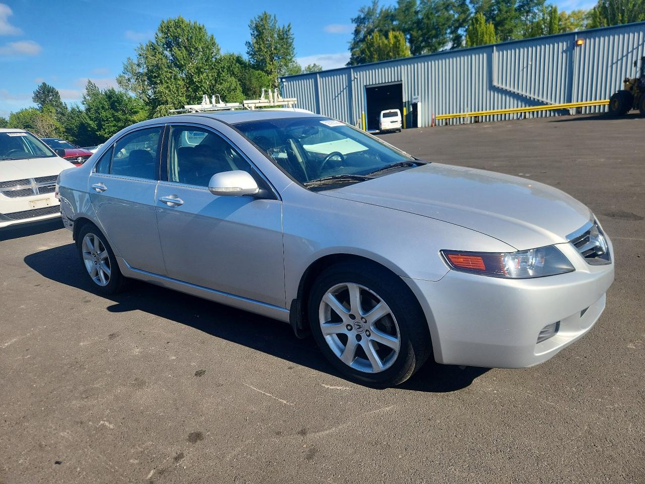 2004 Acura Tsx Silver vin: JH4CL95824C019904