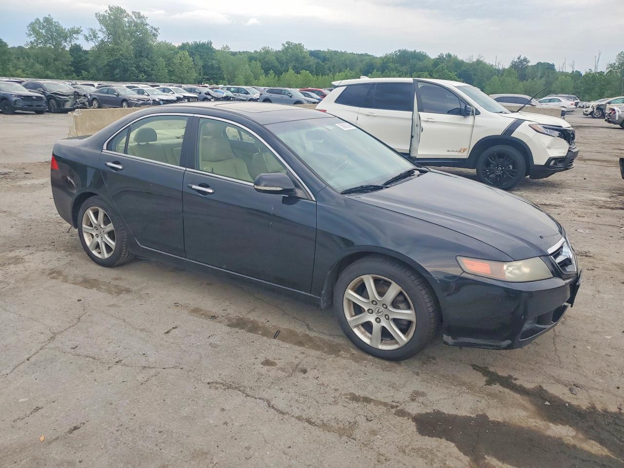2005 Acura Tsx Black vin: JH4CL95825C022982