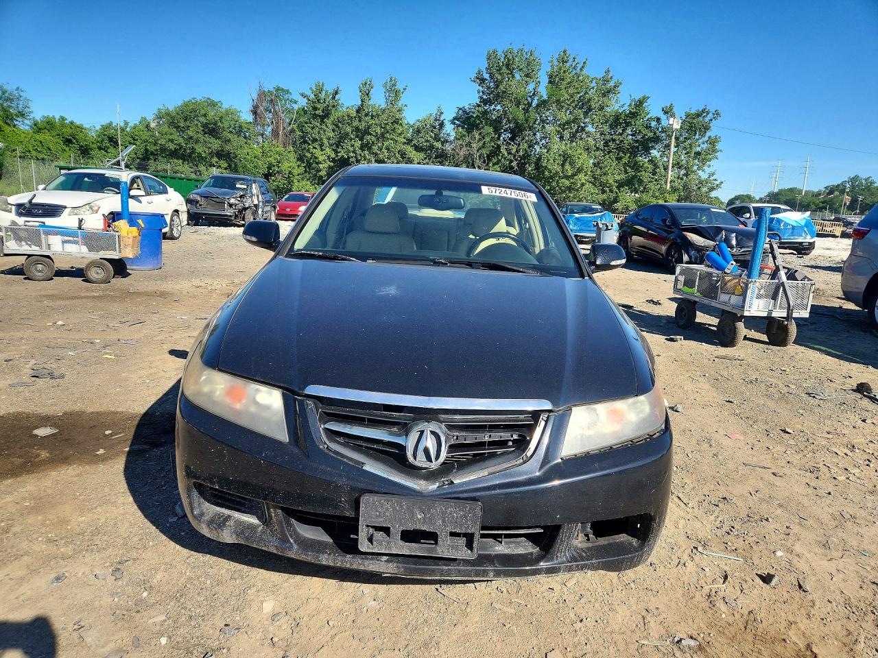 2005 Acura Tsx Black vin: JH4CL95825C027597