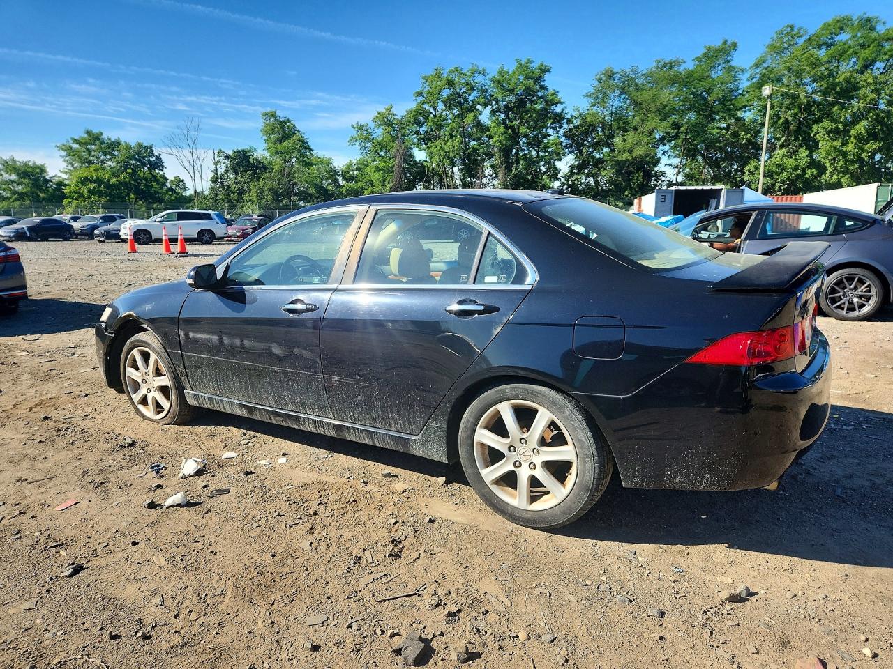2005 Acura Tsx Black vin: JH4CL95825C027597