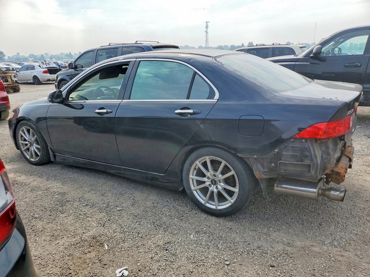 2005 Acura Tsx Black vin: JH4CL95845C802773