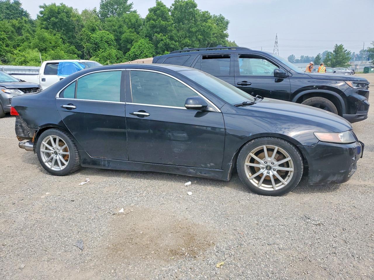 2005 Acura Tsx Black vin: JH4CL95845C802773