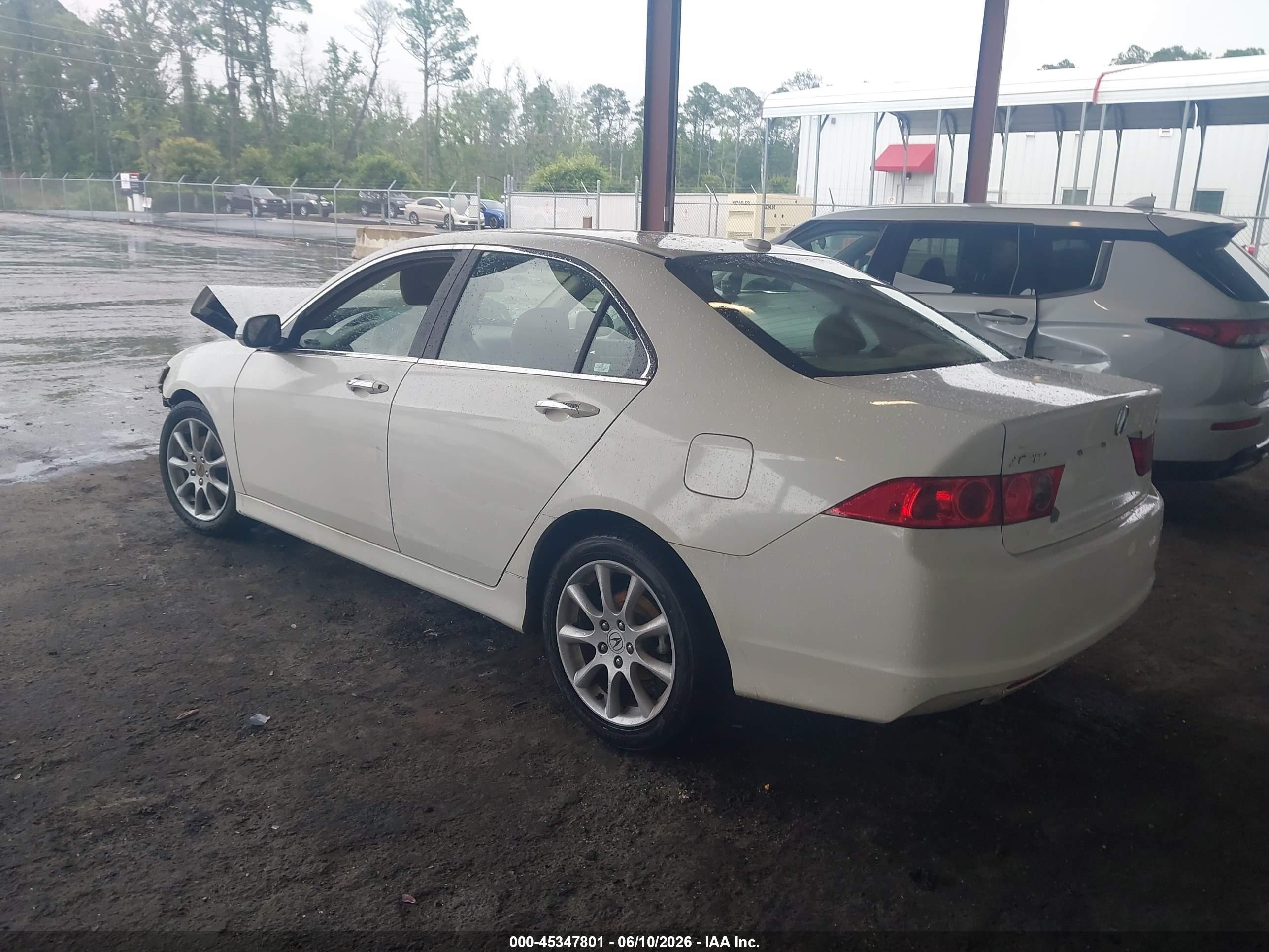 2006 Acura Tsx   White vin: JH4CL95896C007946