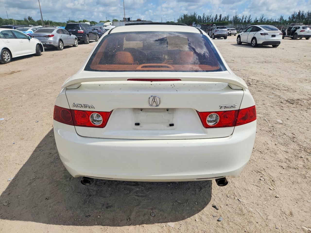 2004 Acura Tsx White vin: JH4CL96804C045562