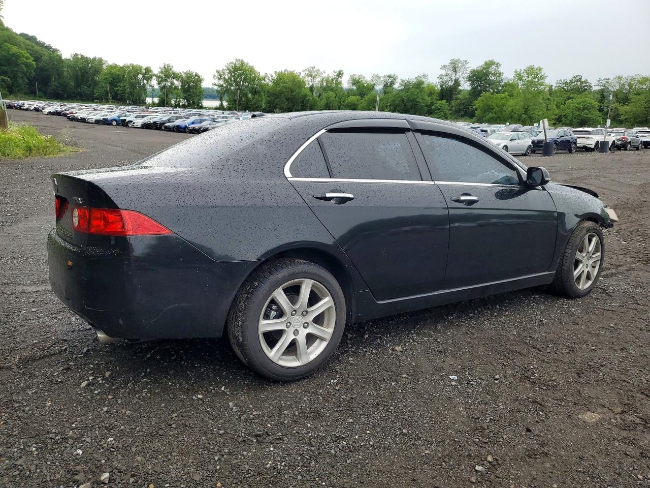 2005 Acura Tsx Black vin: JH4CL96805C019948