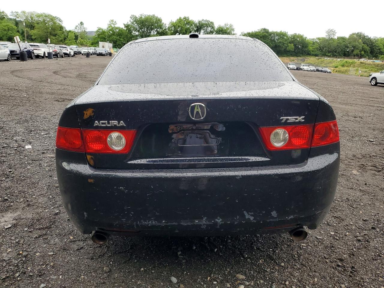 2005 Acura Tsx Black vin: JH4CL96805C019948