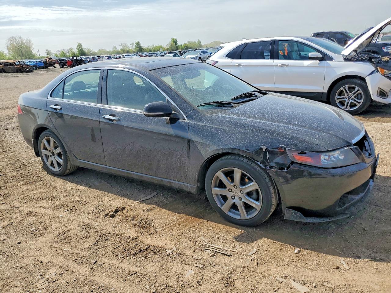 2004 Acura Tsx Black vin: JH4CL96814C024381