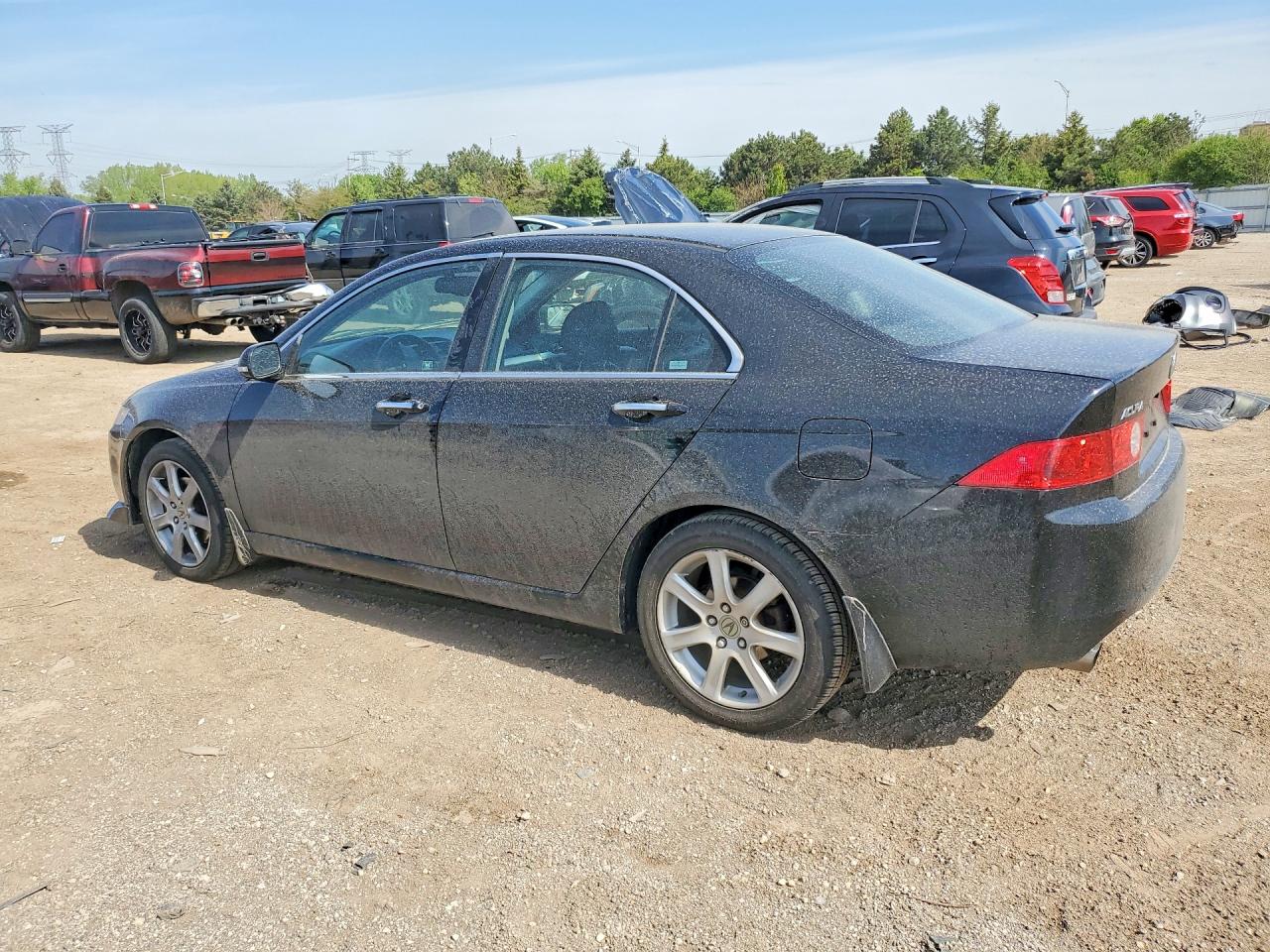 2004 Acura Tsx Black vin: JH4CL96814C024381