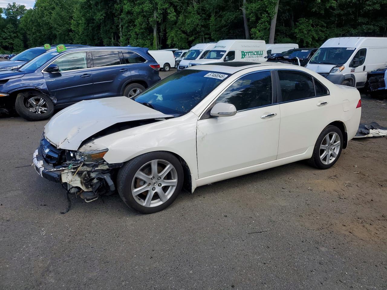 2005 Acura Tsx White vin: JH4CL96815C006545