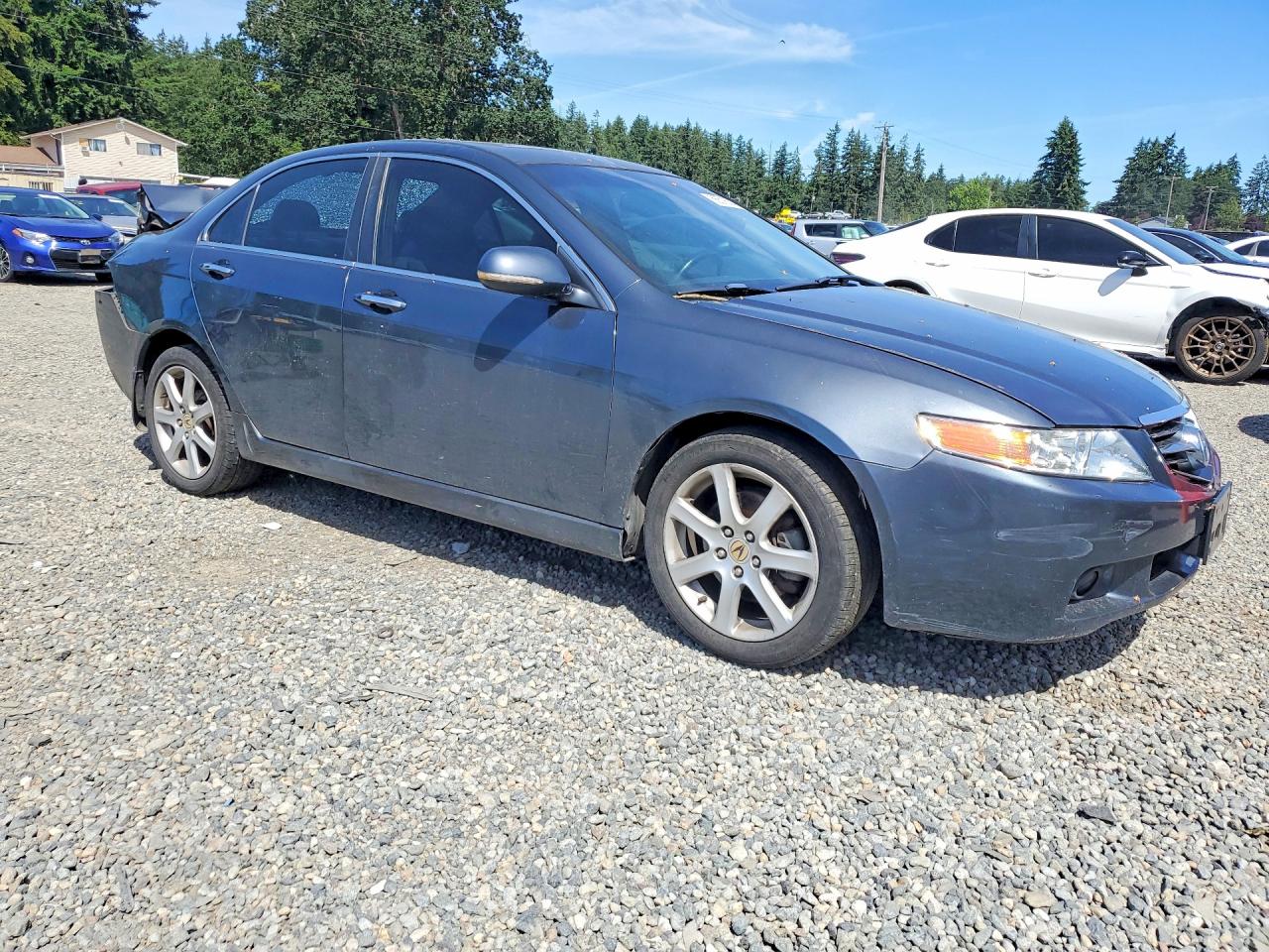2005 Acura Tsx Gray vin: JH4CL96815C010403