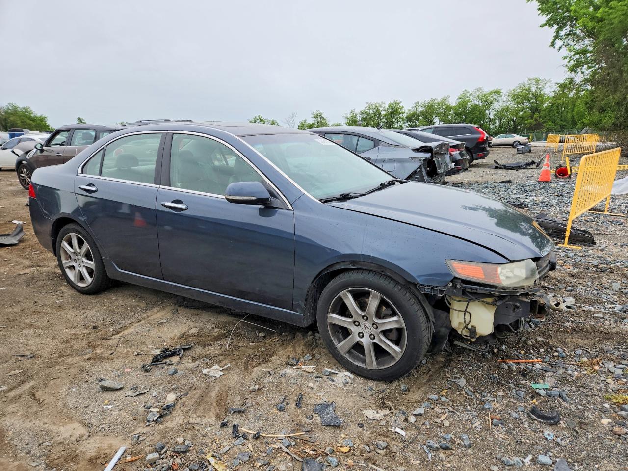 2005 Acura Tsx Синий vin: JH4CL96815C032482
