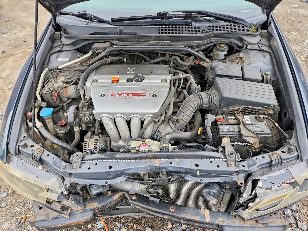2005 Acura Tsx Синий vin: JH4CL96815C032482