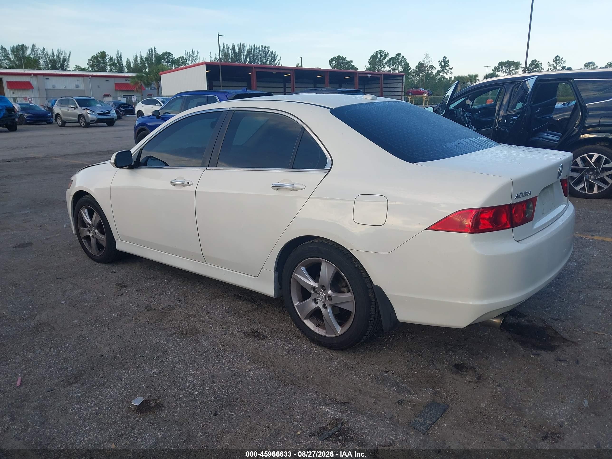 2006 Acura Tsx   White vin: JH4CL96816C011875