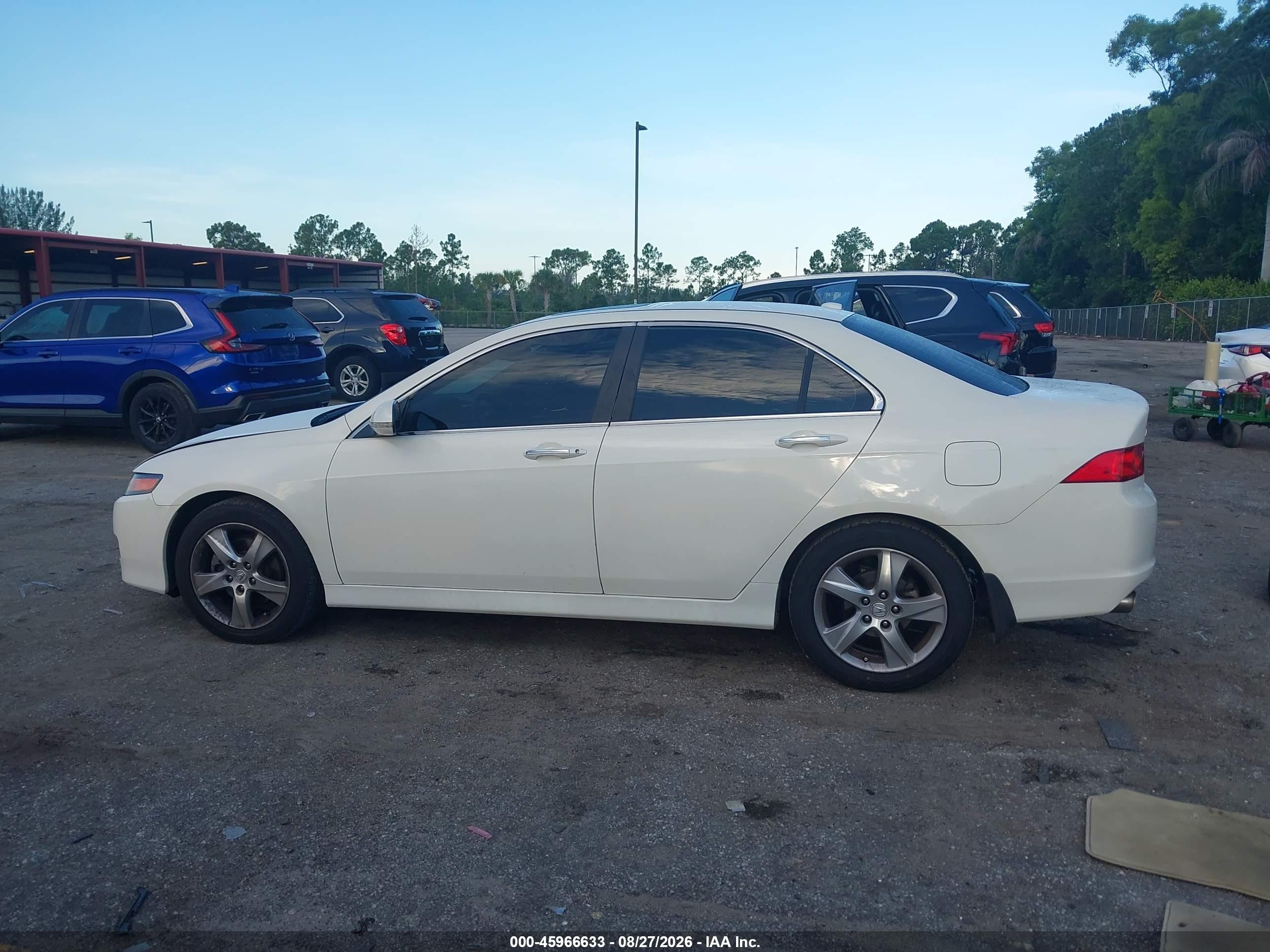 2006 Acura Tsx   White vin: JH4CL96816C011875