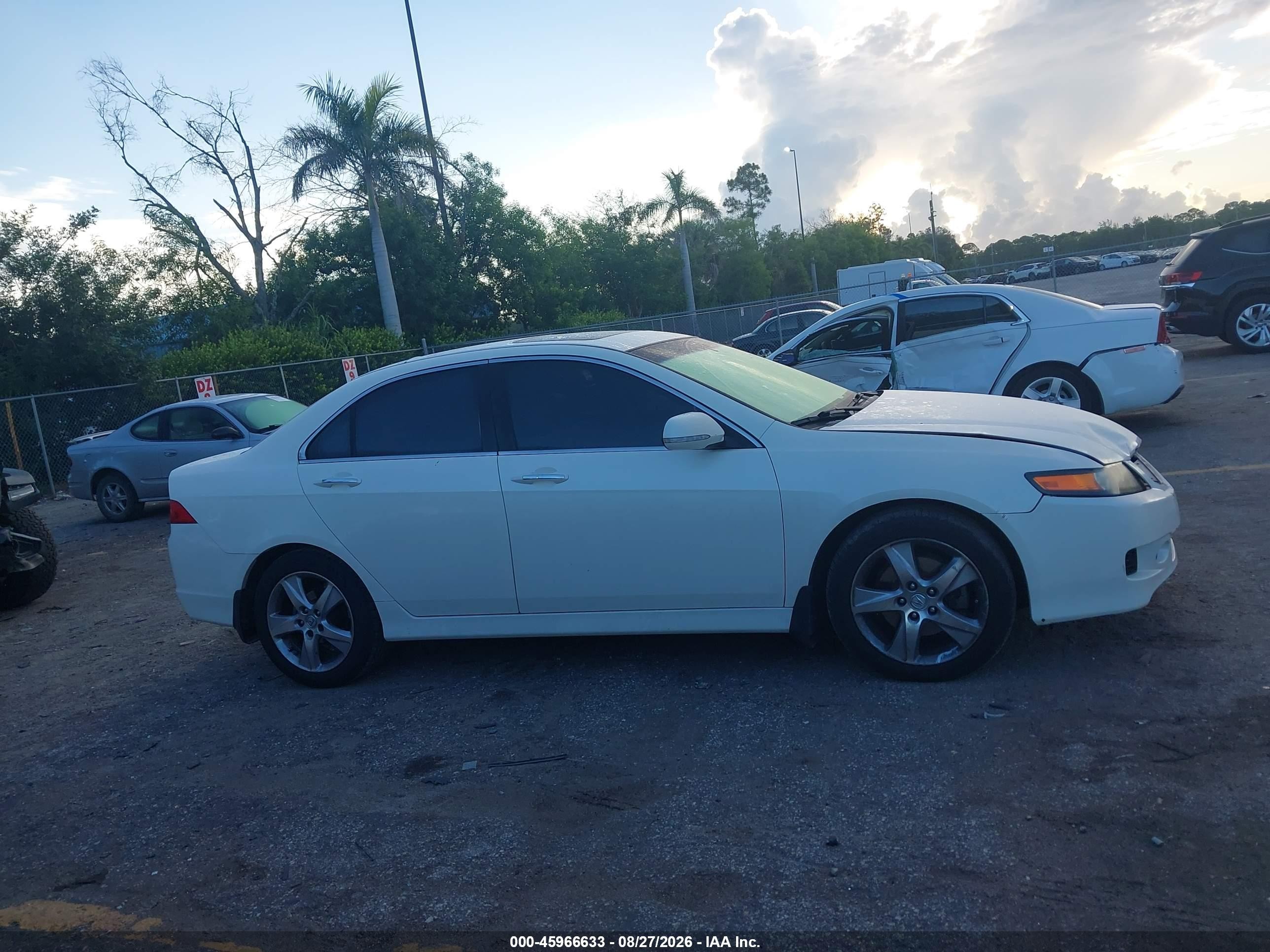 2006 Acura Tsx   White vin: JH4CL96816C011875