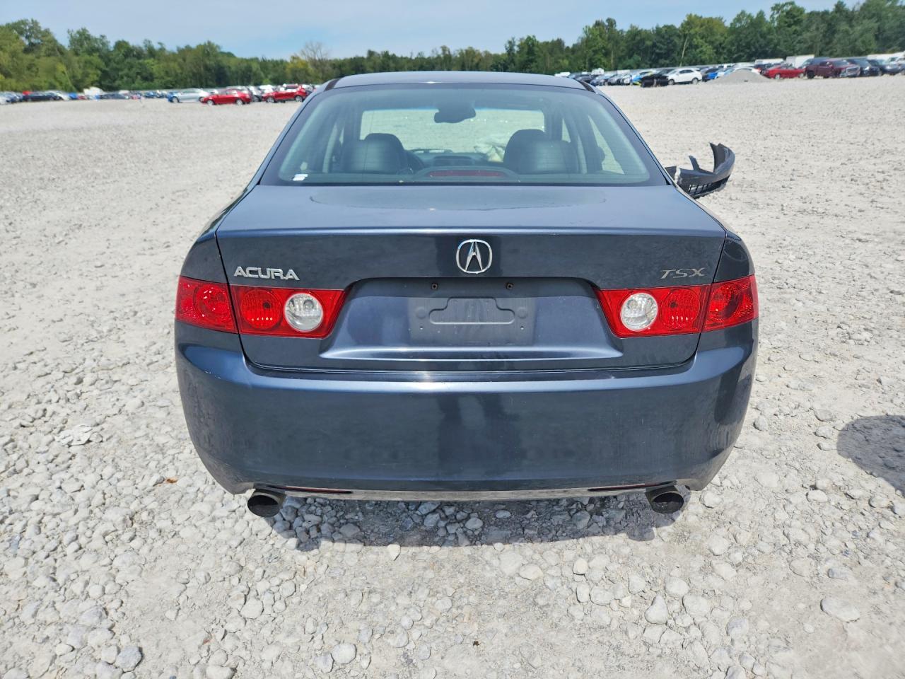 2004 Acura Tsx Gray vin: JH4CL96824C040895