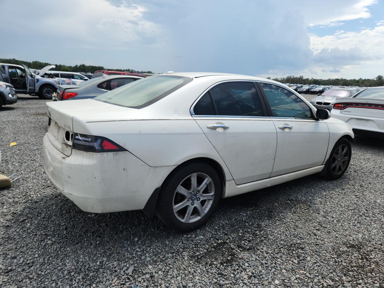 2005 Acura Tsx White vin: JH4CL96825C022298