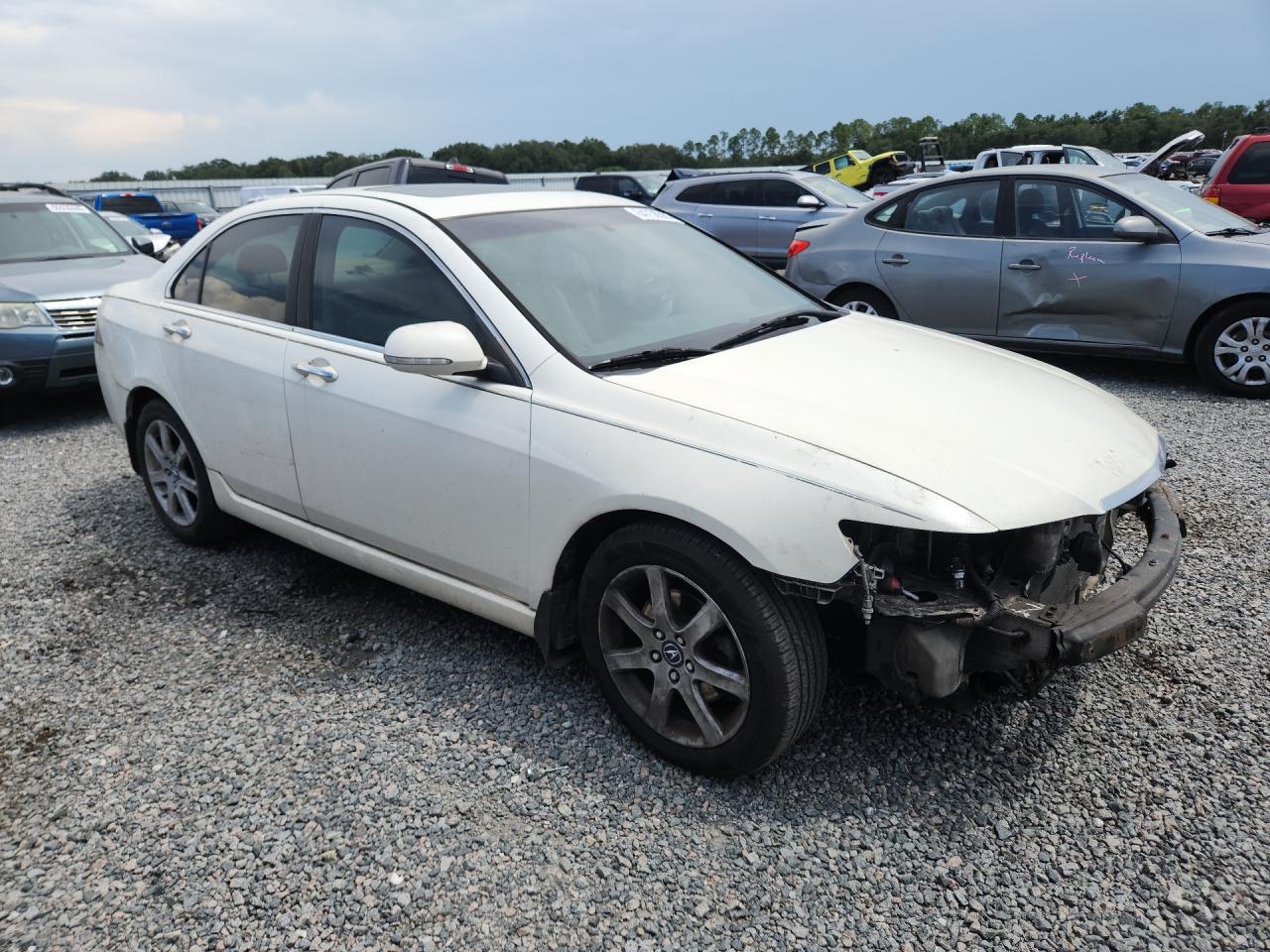 2005 Acura Tsx White vin: JH4CL96825C022298