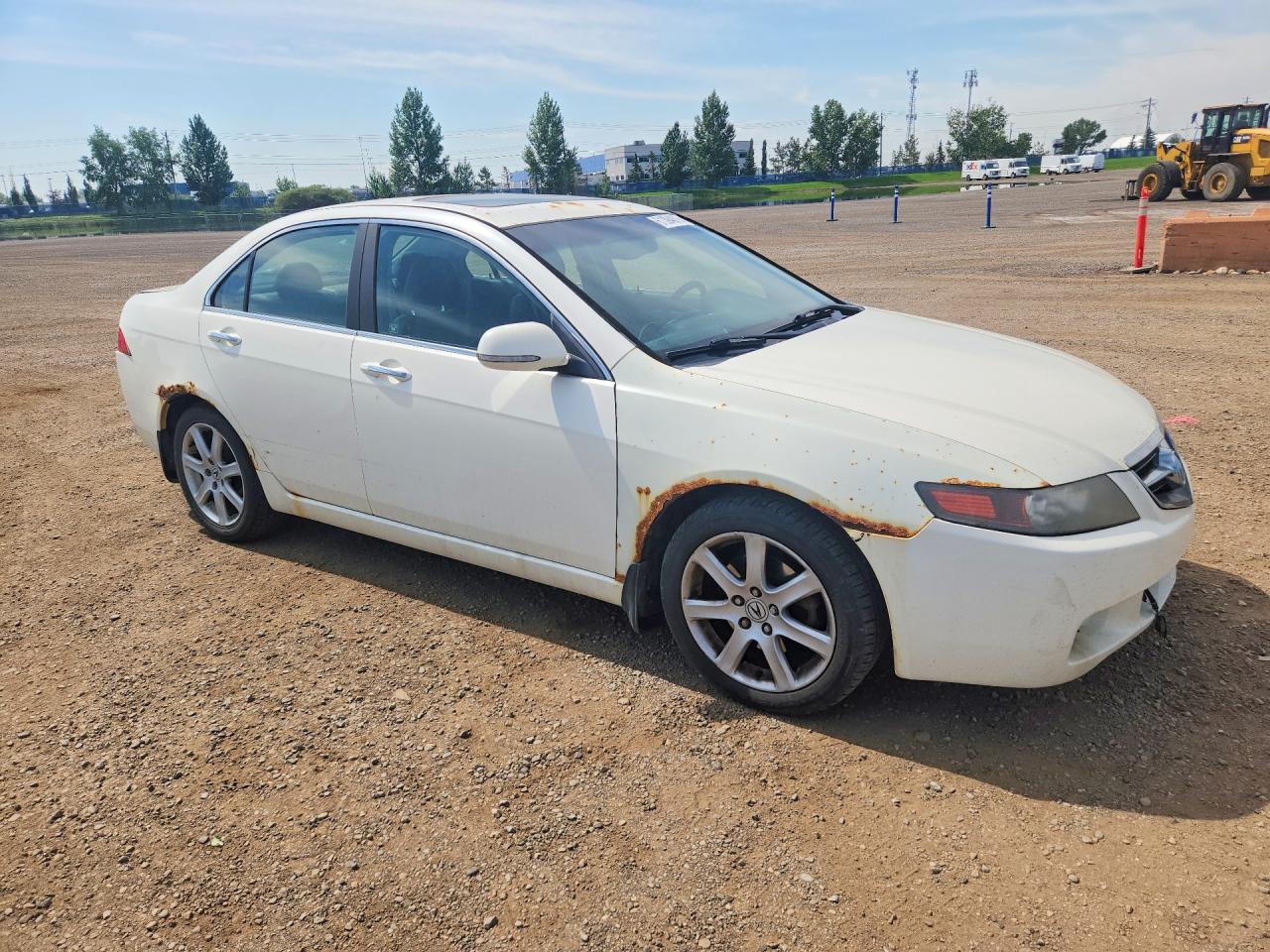 2004 Acura Tsx White vin: JH4CL96834C802048
