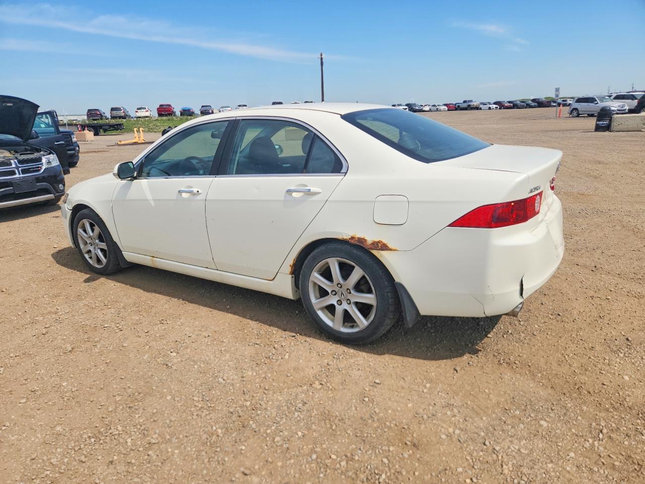 2004 Acura Tsx White vin: JH4CL96834C802048