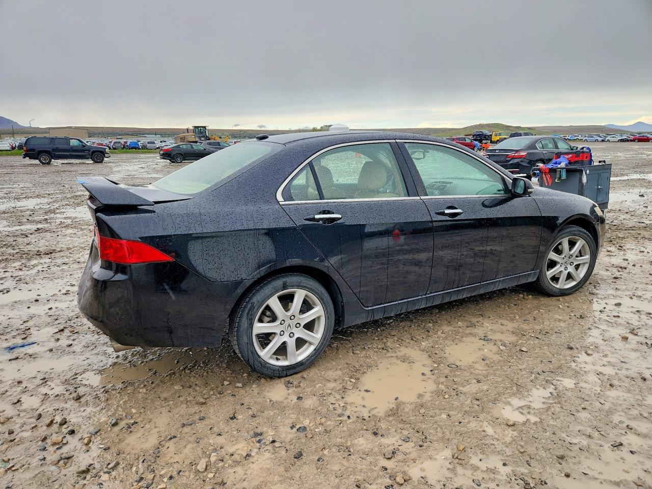 2005 Acura Tsx Black vin: JH4CL96835C027848