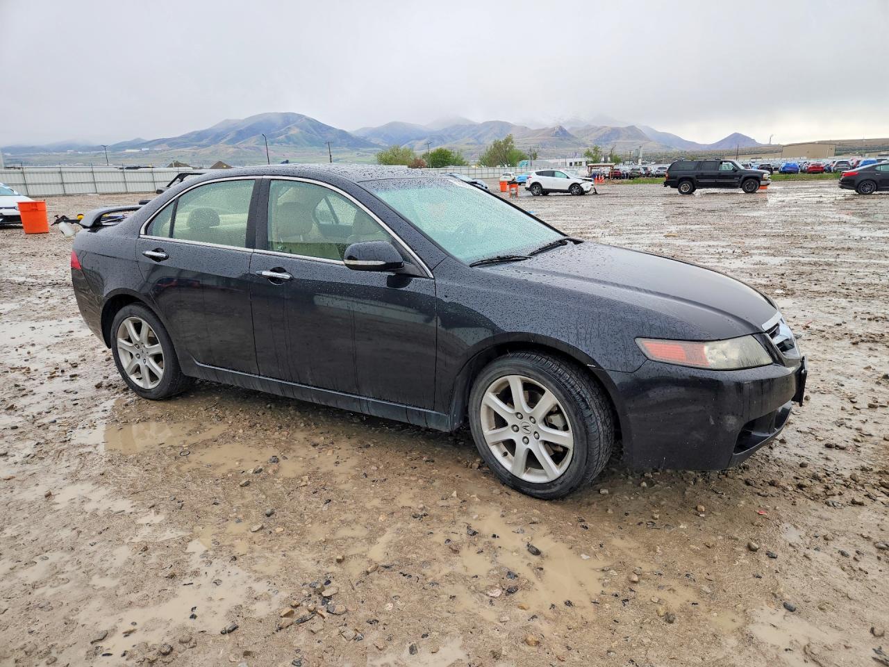 2005 Acura Tsx Black vin: JH4CL96835C027848